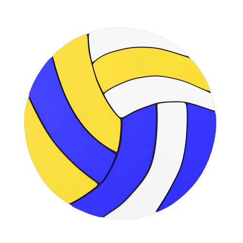 Budz | Volleyball